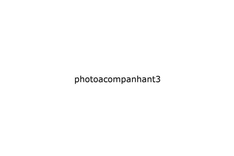 photoacompanhant3