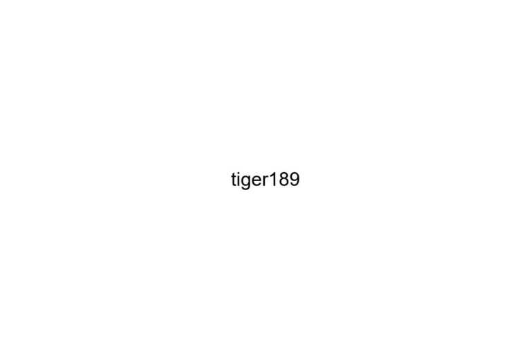 tiger189