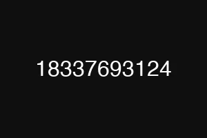 18337693124