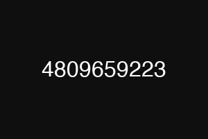 4809659223