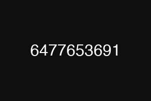 6477653691