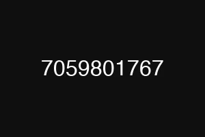 7059801767