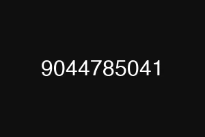 9044785041