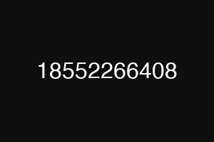 18552266408