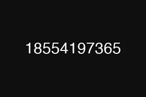 18554197365