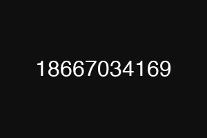 18667034169