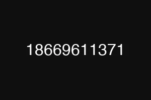 18669611371