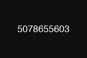 5078655603