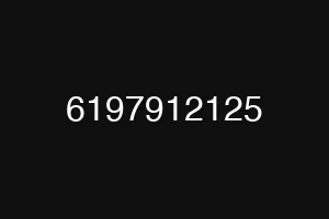 6197912125