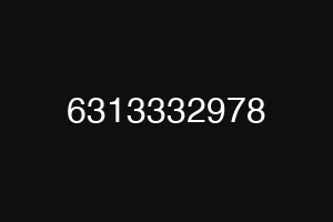 6313332978