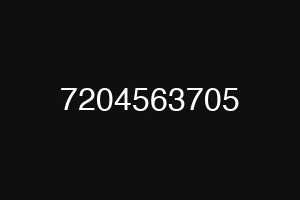 7204563705