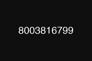 8003816799
