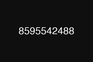 8595542488
