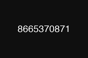 8665370871