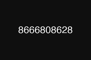 8666808628