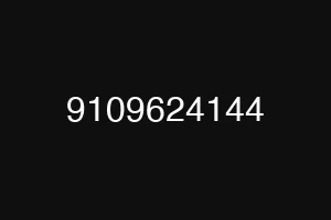 9109624144