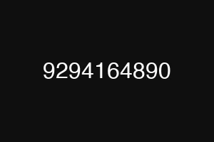 9294164890
